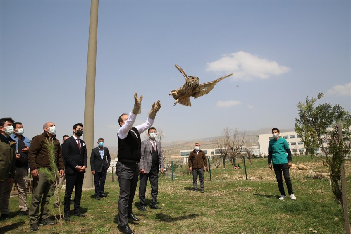 Şırnak Valisi Pehlivan tedavisi tamamlanan kuşu doğaya bıraktı