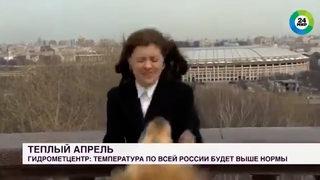 Canlı yayın sırasında mikrofonu köpeğe kaptıran muhabir büyük şok yaşadı