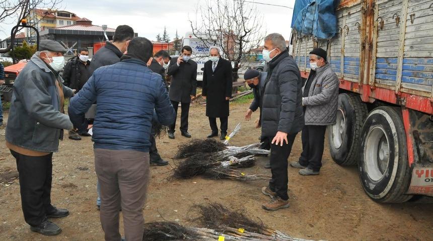 Akşehir’de üreticilere ceviz fidanı dağıtıldı