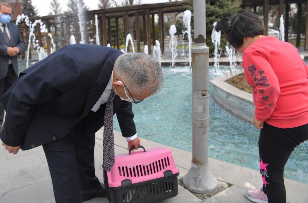 Başkan B&uuml;y&uuml;kkılı&ccedil;&rsquo;tan otizmli Ayşe Nisa&rsquo;ya &rsquo;kedi&rsquo; s&uuml;rprizi