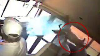 Öğrenci servisine çarpan geyik, uyuyan öğrencinin üzerine düştü