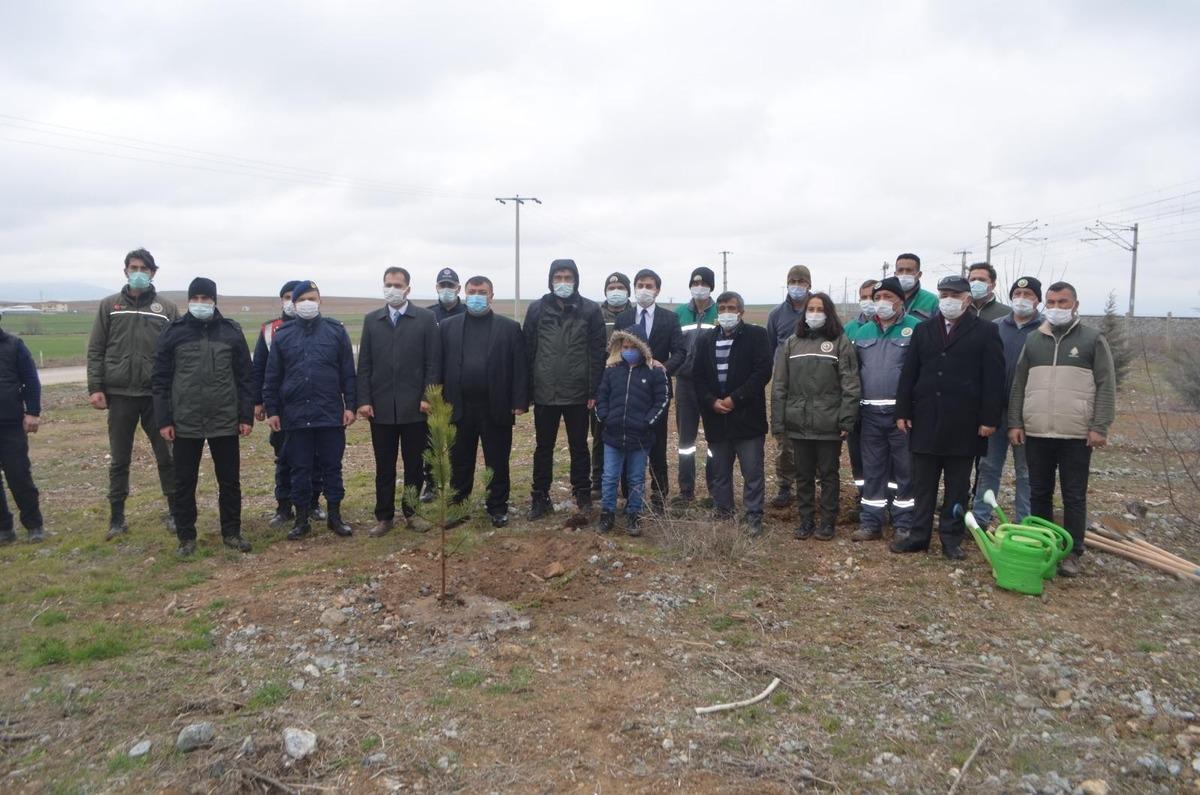 Şehit Neşet G&ouml;k Hatıra Ormanı&rsquo;na yeni fidanlar dikildi