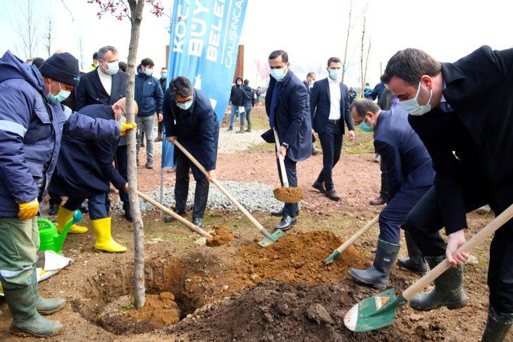 Türkiye-Azerbaycan kardeşliği fidandan ormana dönüşecek G3