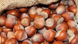 Fındığın fiyatı 30 lira mı oluyor? Açıklama geldi!