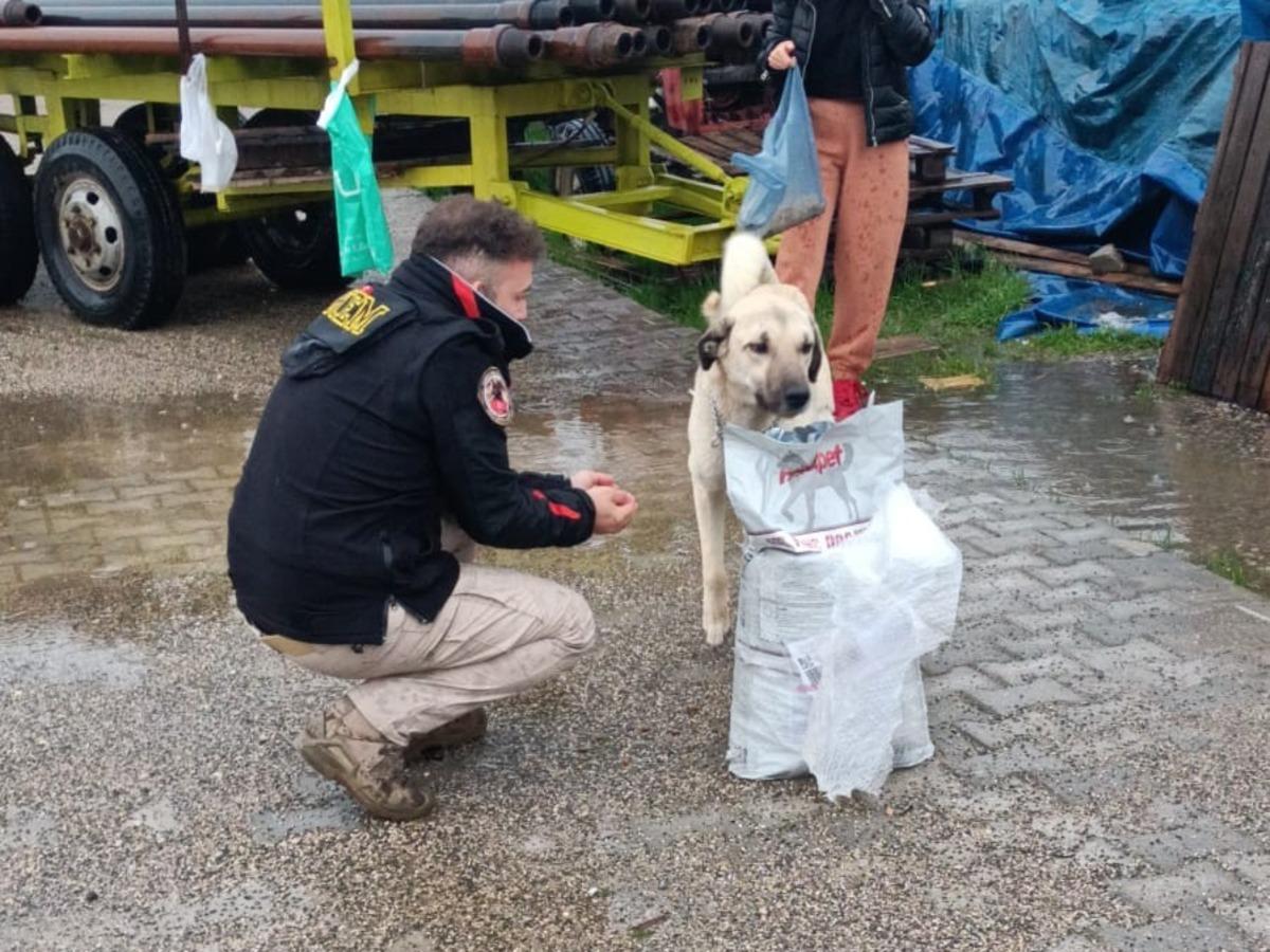 Polis destek oldu, Sokak Hayvanlarını Koruma Derneği barınak yaptı