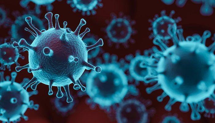 'Virüsler işbirliği yaptı, yeni salgın kapıda'