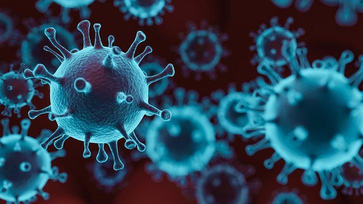 Uzman isimden korkutan uyarı! 'Virüsler işbirliği yaptı, yeni bir salgın kapıda'