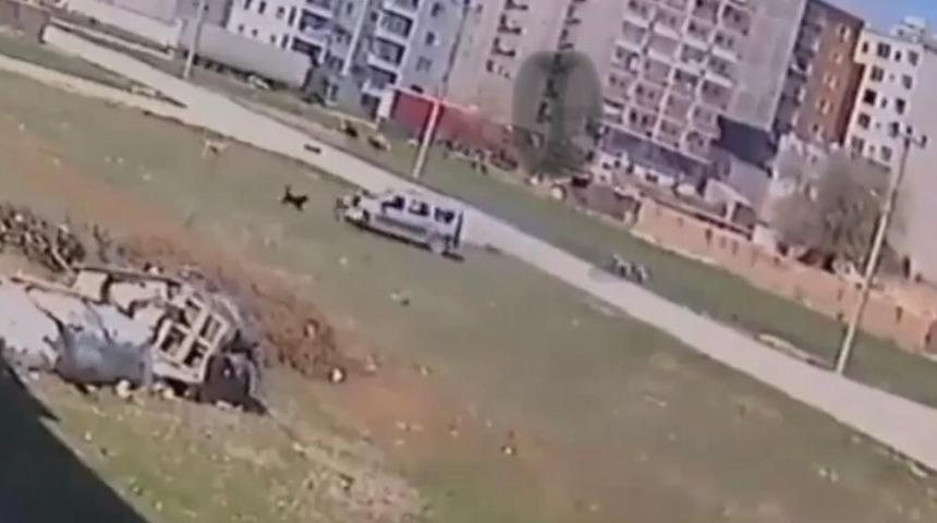 Sokak k&ouml;peklerinin &ccedil;ocuğa saldırma anı kameralara yansıdı