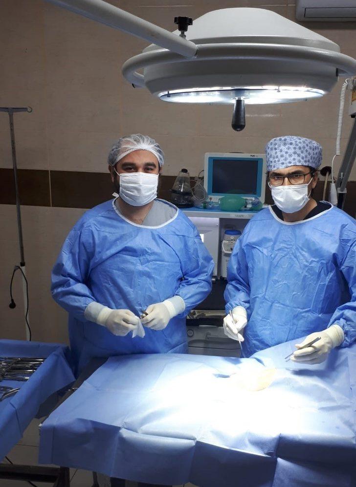 Nefes alamayan kedinin tedavisini büyükşehir üstlendi G4