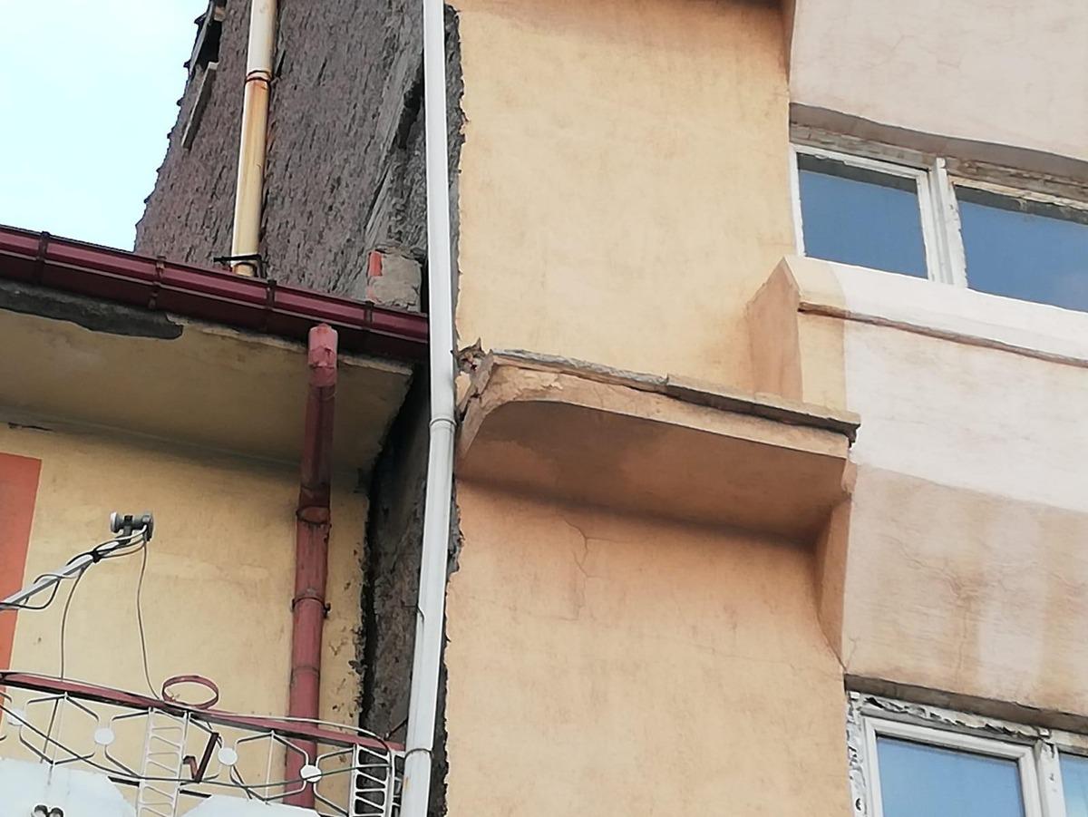 Mahsur kalan kediyi itfaiye ekipleri kurtardı