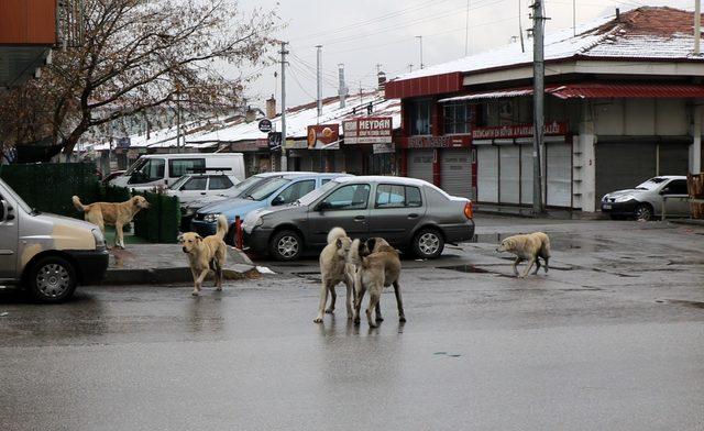 Erzincan’da sokaklar boş kaldı