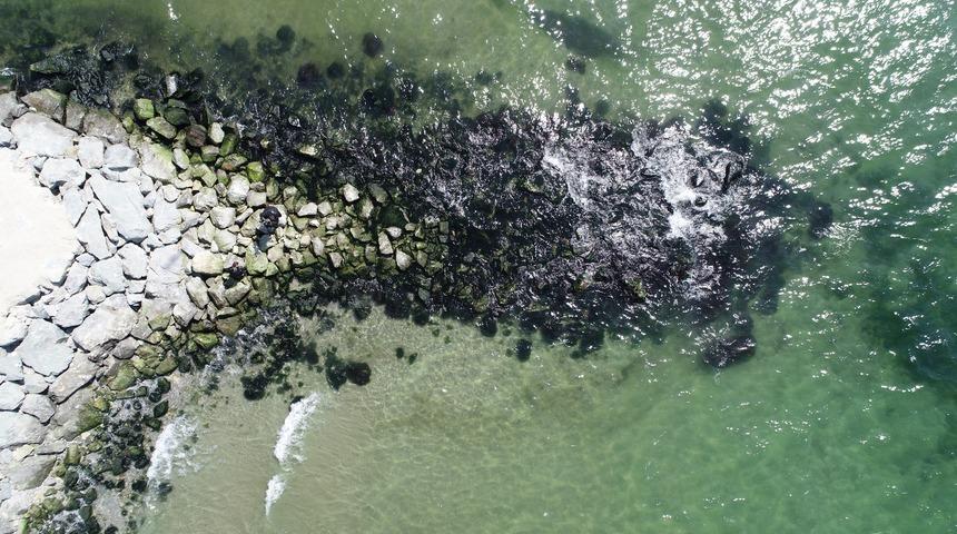 İstanbul'da denizdeki çekilme endişelendirdi! Uzman isim açıkladı: Deprem belirtisi mi?