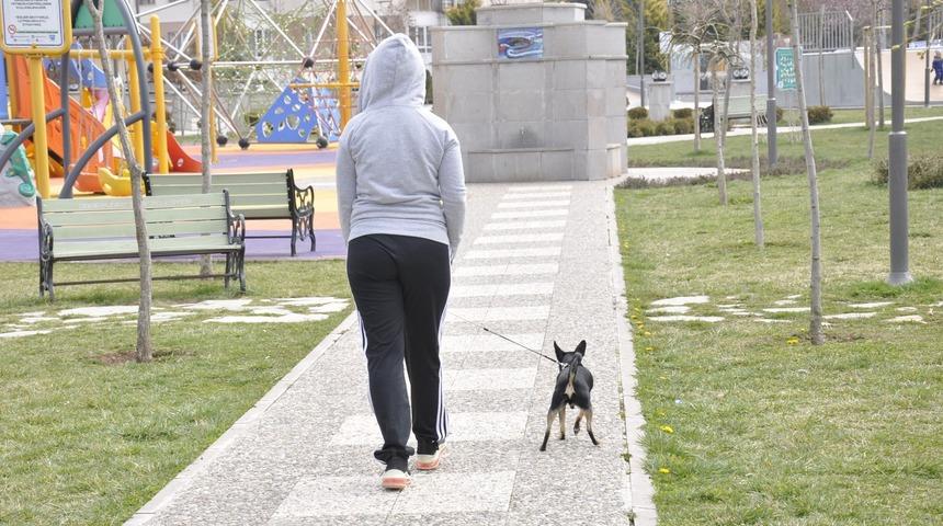 Hafta sonu parklar k&ouml;peklerini gezdiren vatandaşlara kaldı