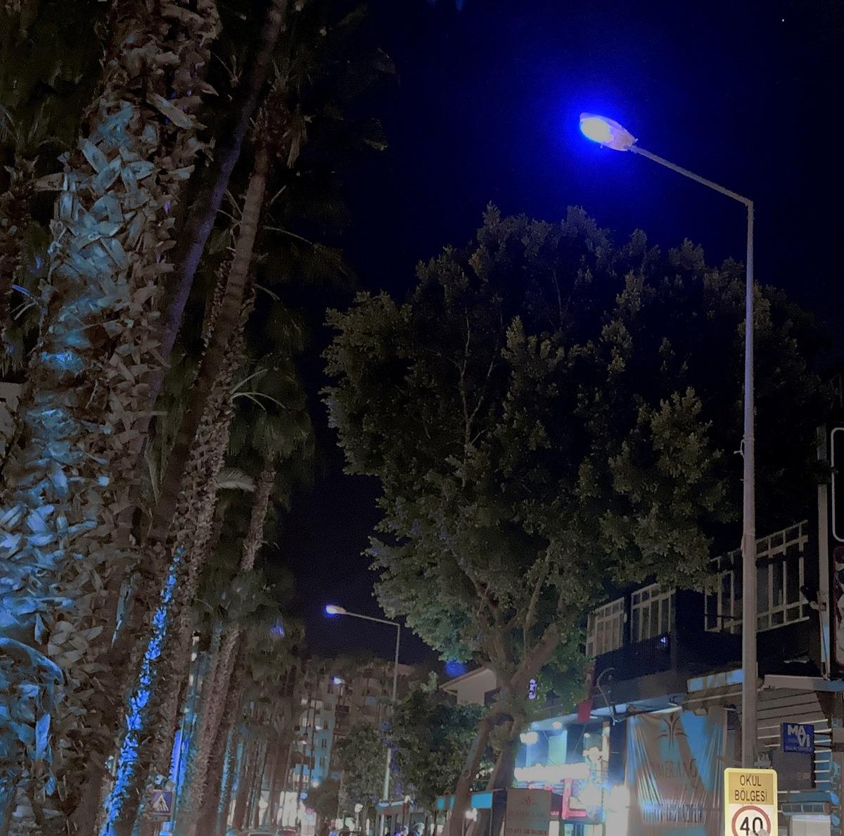 &rsquo;Otizme Mavi Işık Yak&rsquo; kampanyasına AEDAŞ&rsquo;tan destek