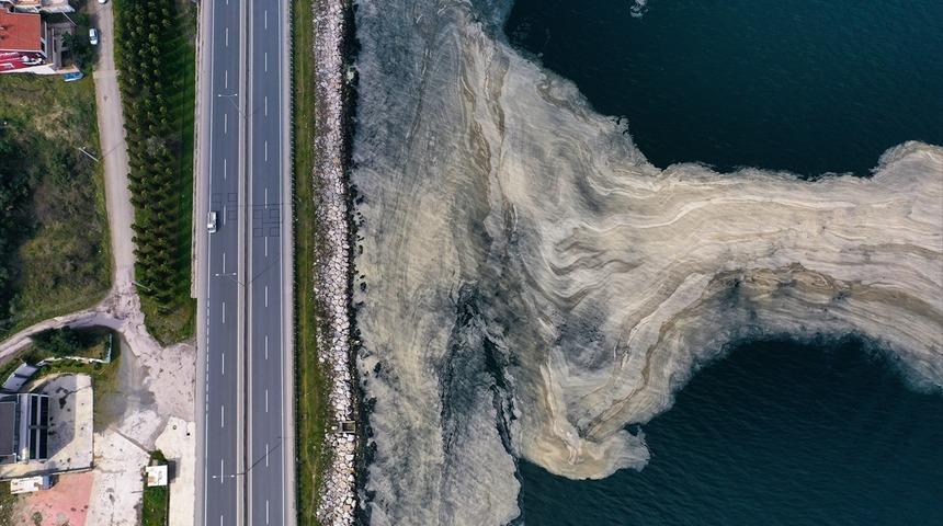 İzmit Körfezi'nde deniz salyası beyaz tabaka oluşturdu
