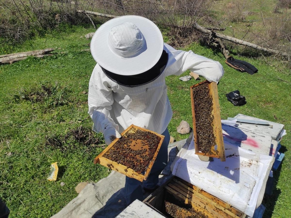 Batman&rsquo;da &ccedil;i&ccedil;eklerin a&ccedil;masıyla arıcıların zorlu mesaisi başladı