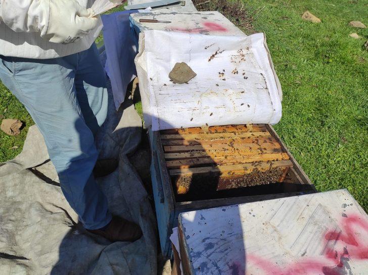 Batman’da çiçeklerin açmasıyla arıcıların zorlu mesaisi başladı G3