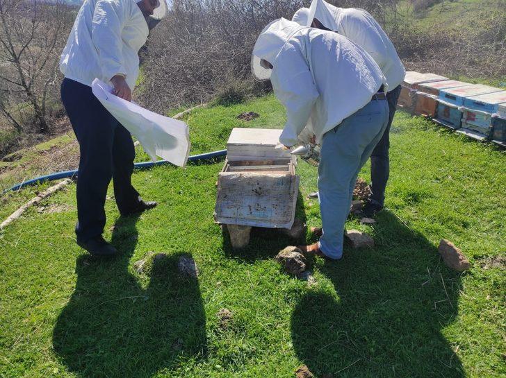 Batman’da çiçeklerin açmasıyla arıcıların zorlu mesaisi başladı G5