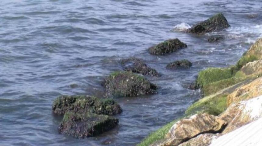 İstanbul'da sular neden çekildi? Deprem mi olacak? Uzman isim açıkladı