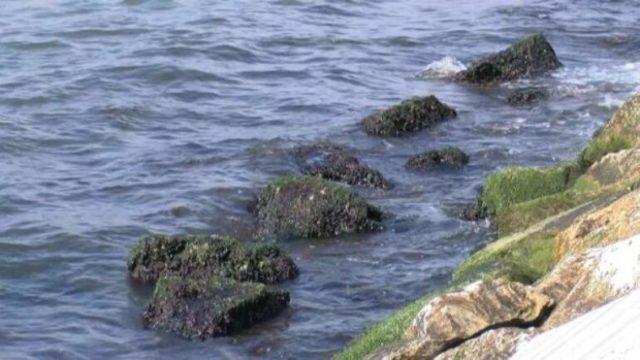 İstanbul'da sular neden çekildi? Deprem mi olacak? Uzman isim açıkladı