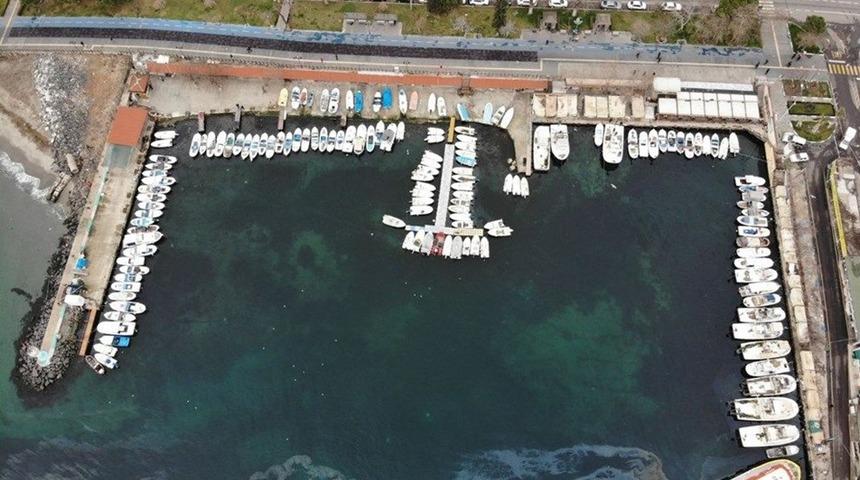 Deniz salyası nedir? Müsilaj nedir?