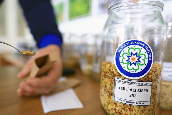 80 İl’e 10 milyon yerel tohum gönderildi G3