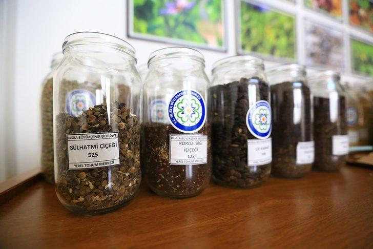 80 İl’e 10 milyon yerel tohum gönderildi G4