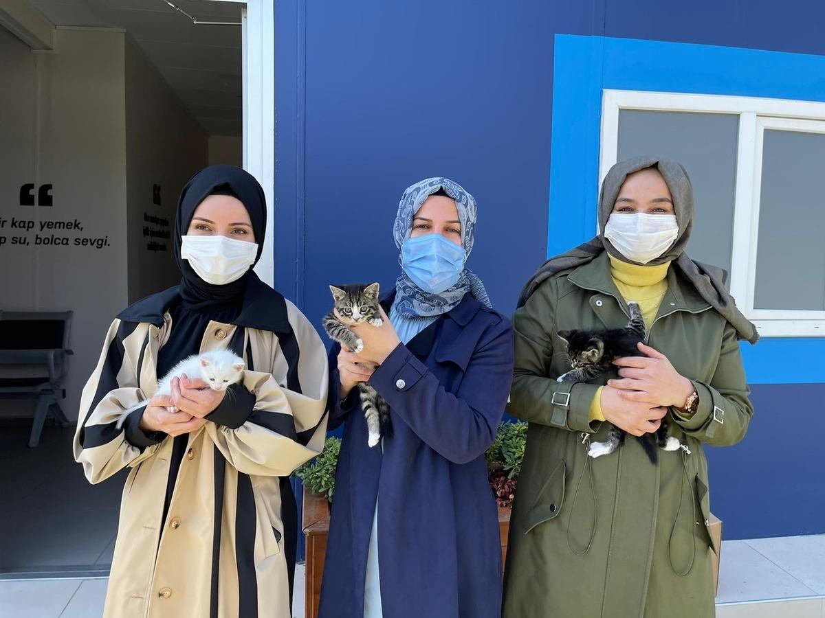 Sultanbeyli Belediyesinden &ldquo;Sevimli Patilere Yuva Ol&rdquo; kampanyası