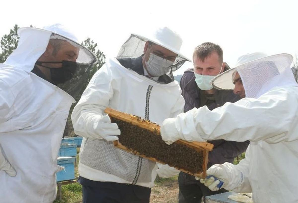 &ldquo;Kırklareli Arı Islah Projesi&rdquo; yerinde incelendi