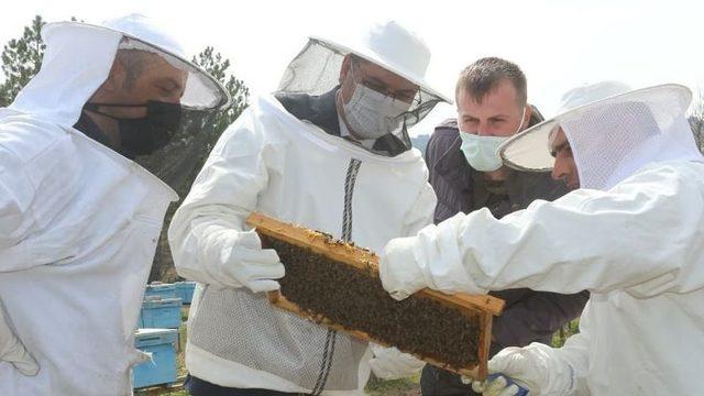 “Kırklareli Arı Islah Projesi” yerinde incelendi