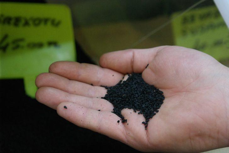 Çörekotunun kıymeti pandemide anlaşıldı G1