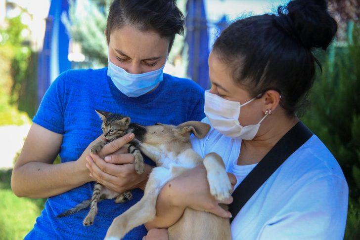 Sokak hayvanları Buca’da yalnız değil G3