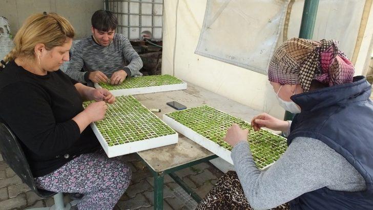 Balıkesir’de sokağa çıkma sınırlaması üretime engel değil G1