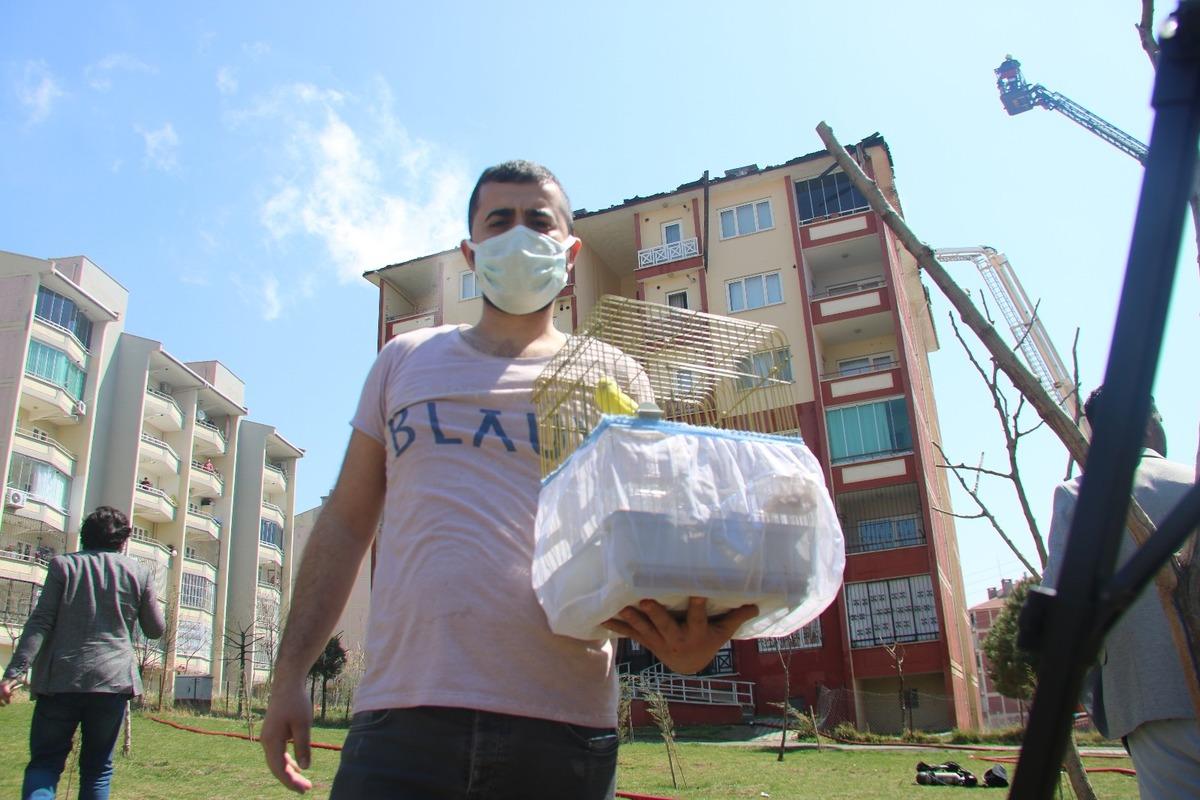Alevlerin arasına dalıp evcil hayvanlarını kurtardılar