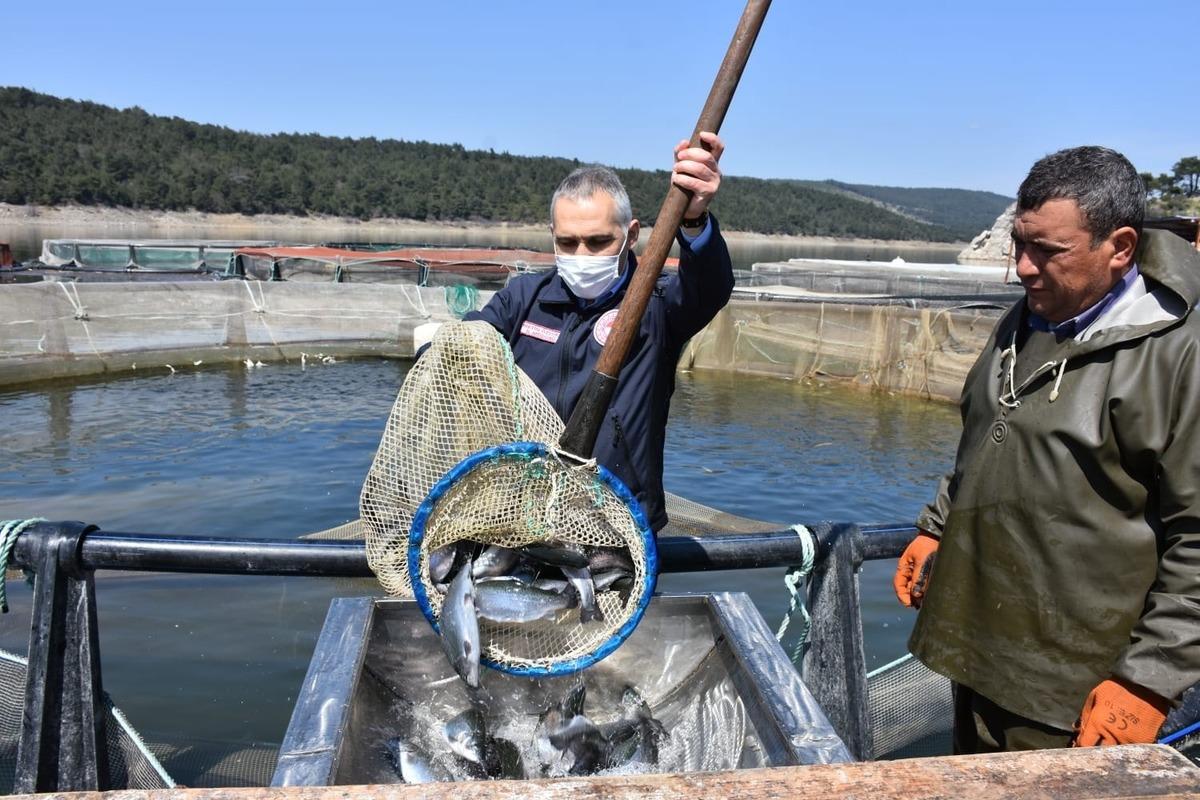 Denizi olmayan Manisa&rsquo;da su &uuml;r&uuml;nlerinden &ouml;nemli gelir