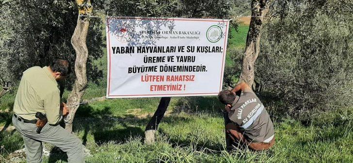 Üreme döneminde olan yaban hayvanları ve kuşlar için vatandaşları uyardılar G1