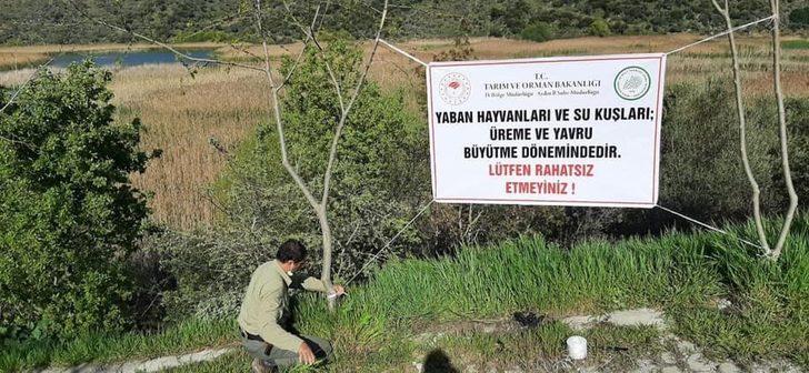 Üreme döneminde olan yaban hayvanları ve kuşlar için vatandaşları uyardılar G2