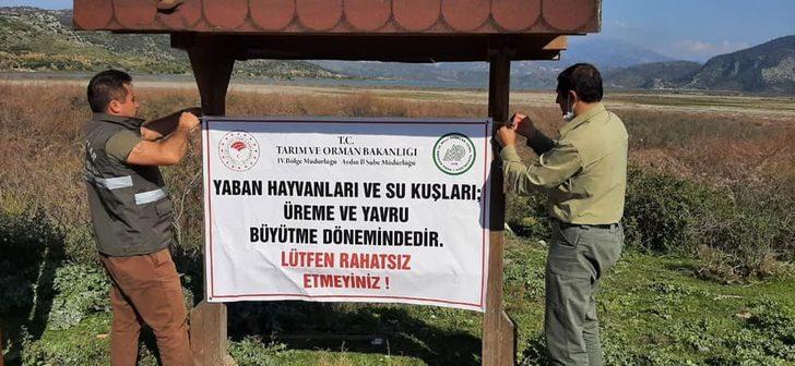 Üreme döneminde olan yaban hayvanları ve kuşlar için vatandaşları uyardılar G3