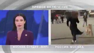 Canlı yayında muhabirin mikrofonunu kapıp kaçan köpek gülümsetti