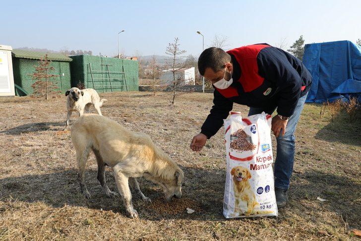 İlkadım’da kısıtlamada sokak hayvanları unutulmadı G1