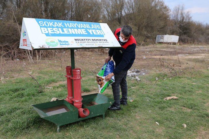 İlkadım’da kısıtlamada sokak hayvanları unutulmadı G4