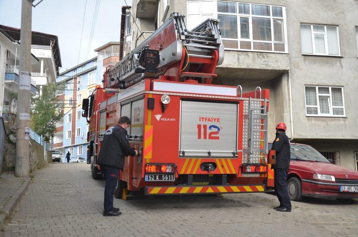 İtfaiyeden 1 saatte 2 kedi operasyonu G3