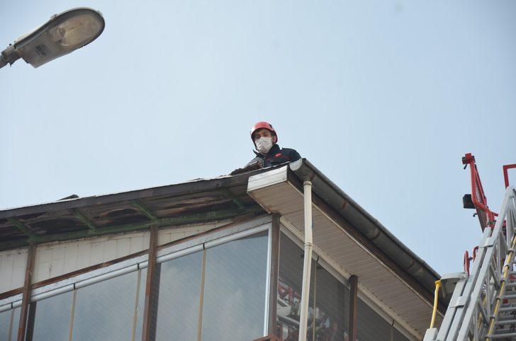 İtfaiyeden 1 saatte 2 kedi operasyonu G5