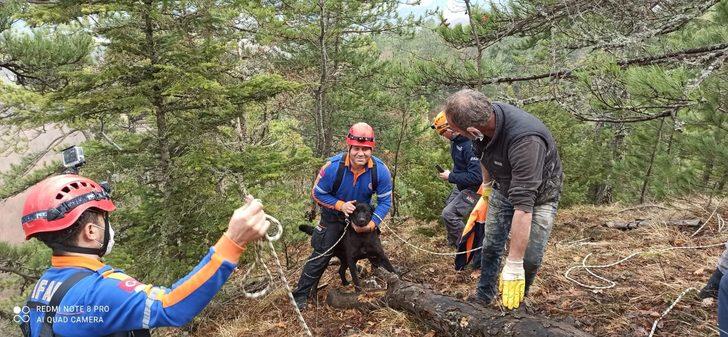 Tilki kovalarken uçurumda mahsur kalan köpek kurtarıldı G3