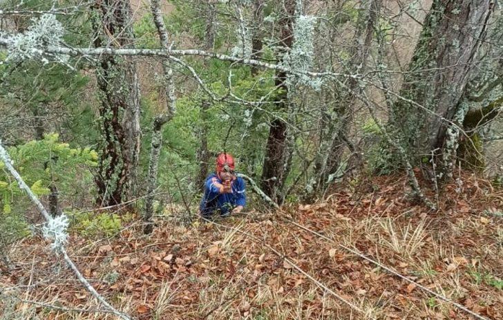 Tilki kovalarken uçurumda mahsur kalan köpek kurtarıldı G4