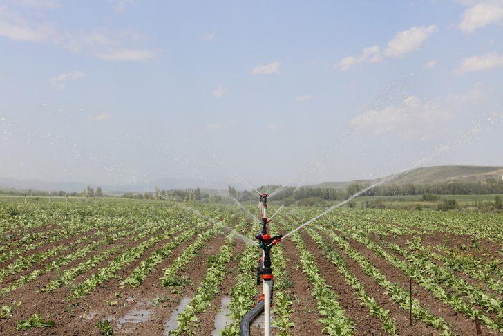 Erzincan’da Kemah Özdamar Regülatör Sulaması inşaatına başlanıyor G3