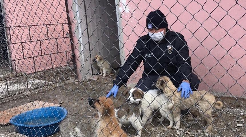 Polisler, 4 Nisan Dünya Sokak Hayvanları Günü’nü unutmadı