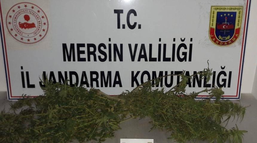 Tarsus&rsquo;ta uyuşturucu operasyonu