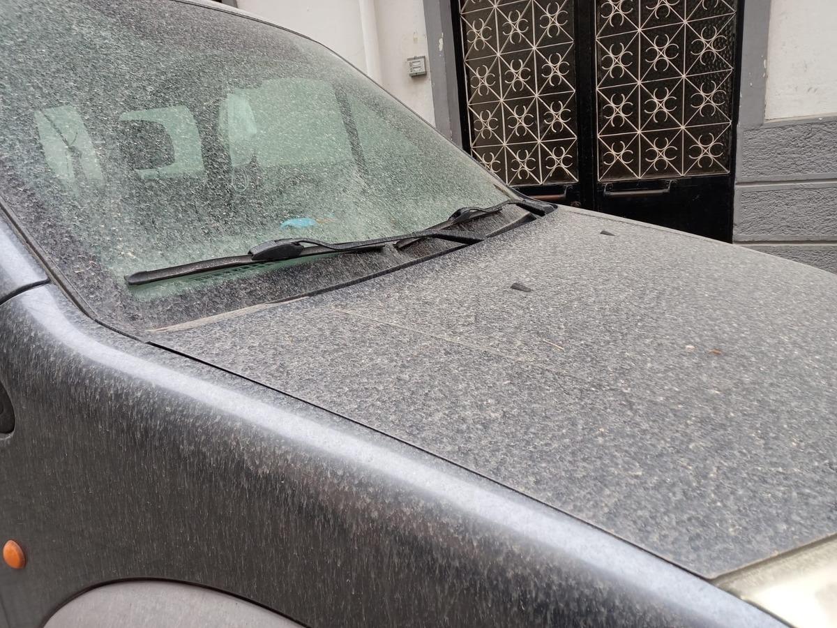 Aydın&rsquo;da ara&ccedil;lar &ccedil;amura boyandı