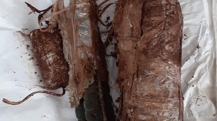 Bitlis kırsalında ter&ouml;ristlerce toprağa gizlenmiş 4 adet EYP ele ge&ccedil;irildi